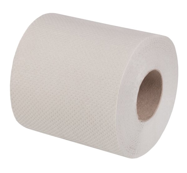 Toilettenpapier Kleinrolle, 2-lagig, 250 Blatt, 64 Rollen Recycling