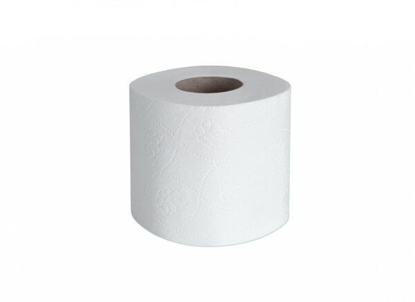 Toilettenpapier Kleinrolle, 2-lagig, 250 Blatt, 64 Rollen