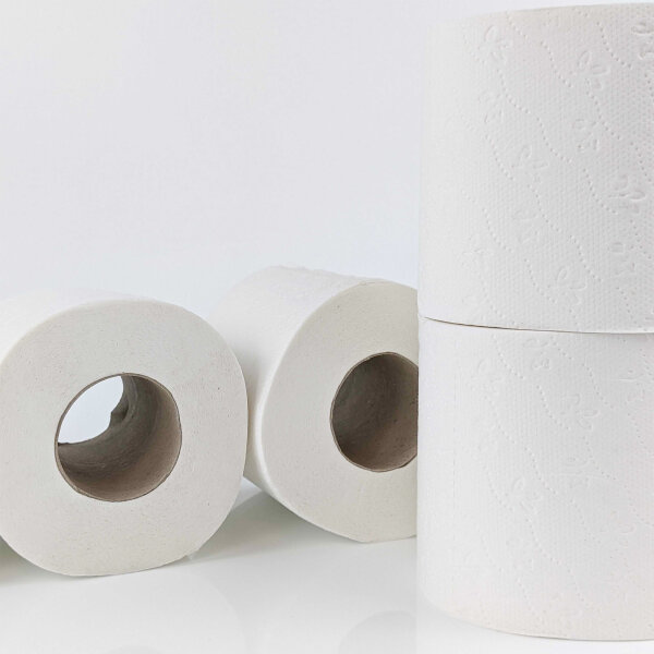 Toilettenpapier Kleinrolle, 3-lagig, 250 Blatt, 72 Rollen