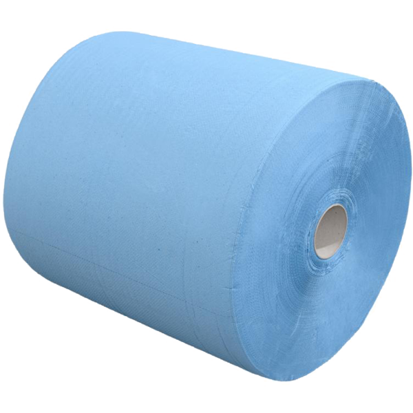 Putzrollen, 2-lagig, 500 Blatt, 2 Rollen